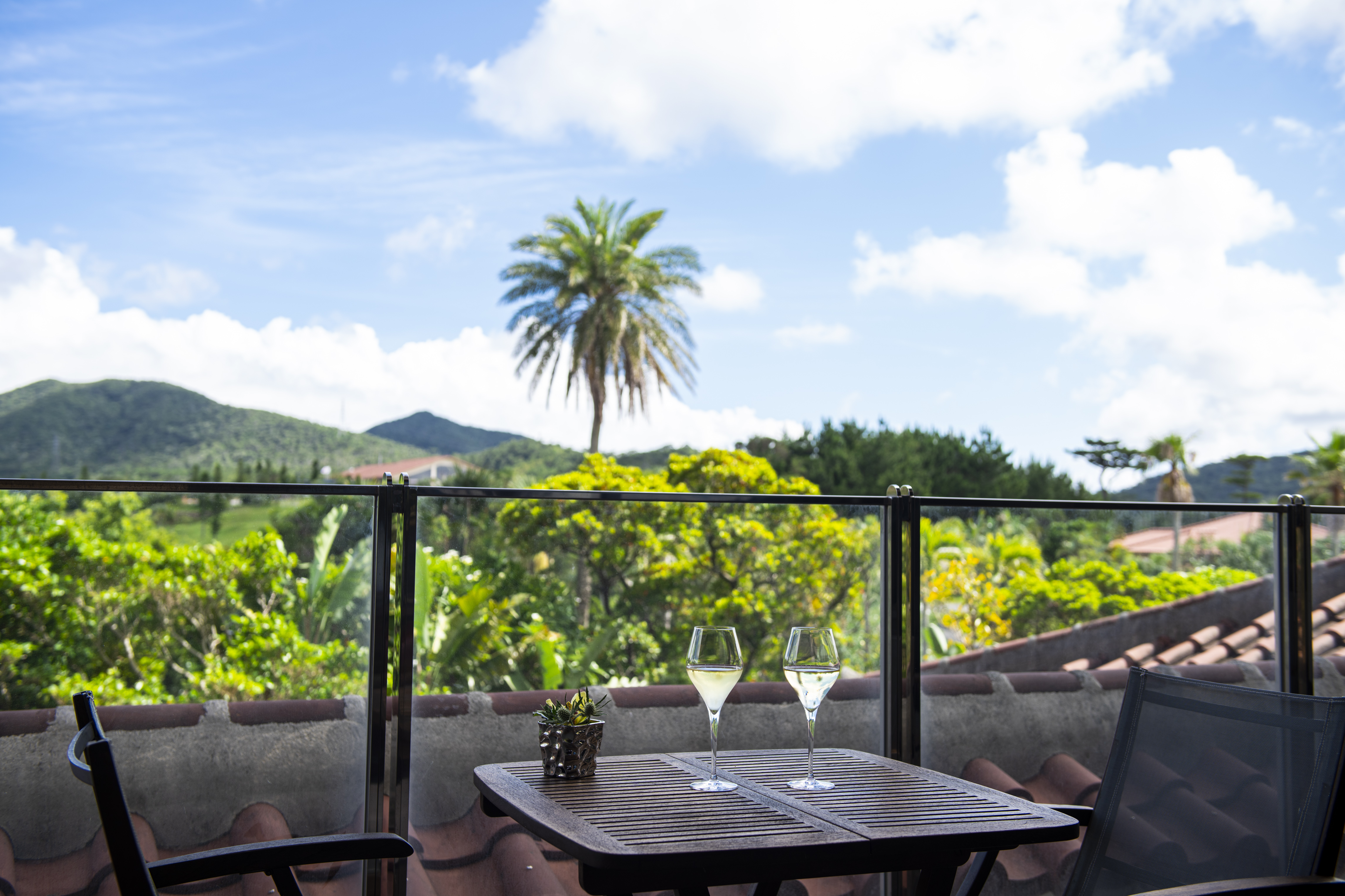 クラブラウンジから見たやんばるの森