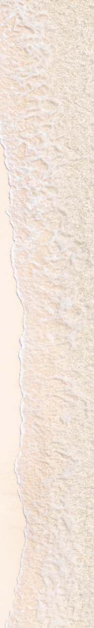 aerial view of ocean and sand