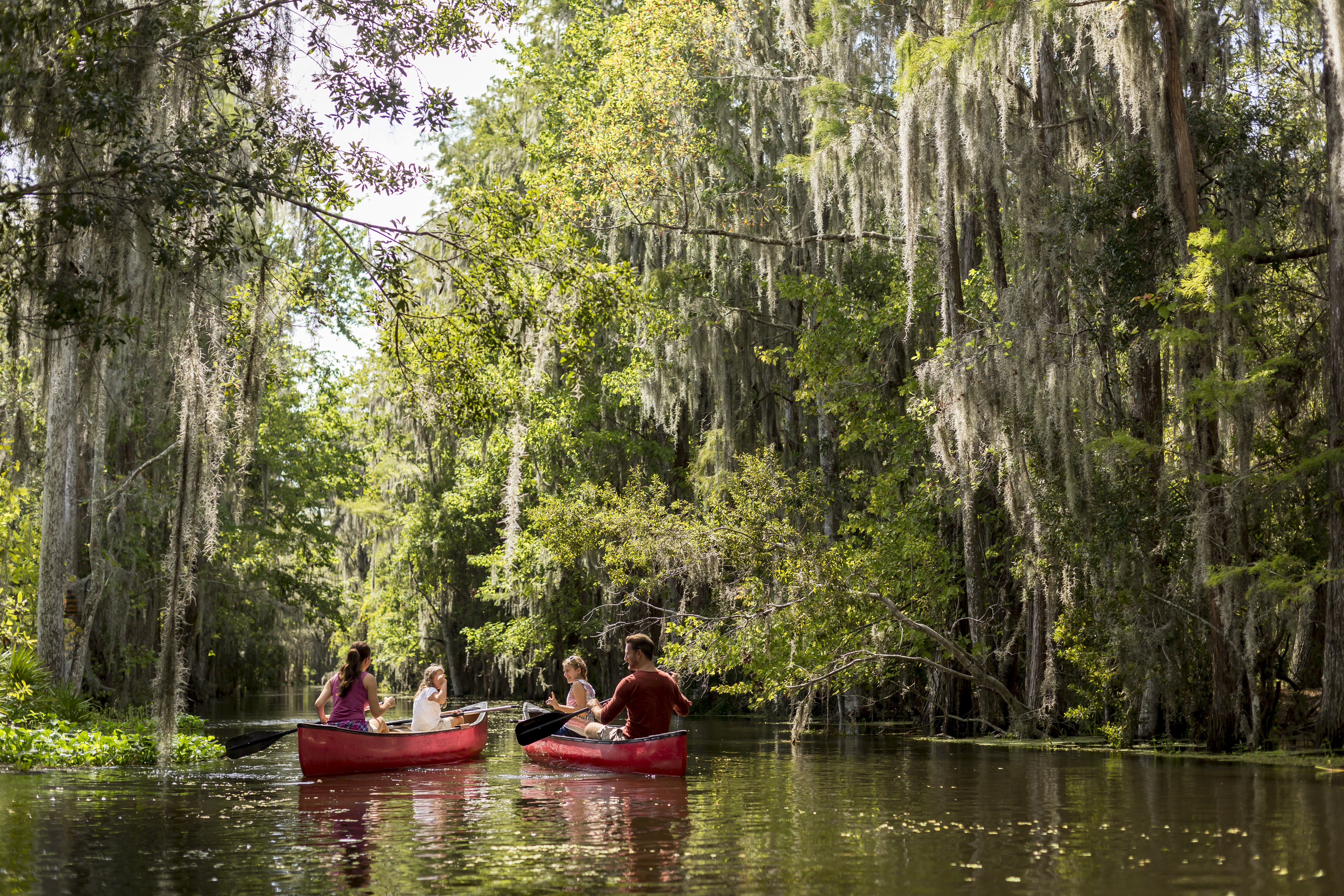 Family Eco-Tour