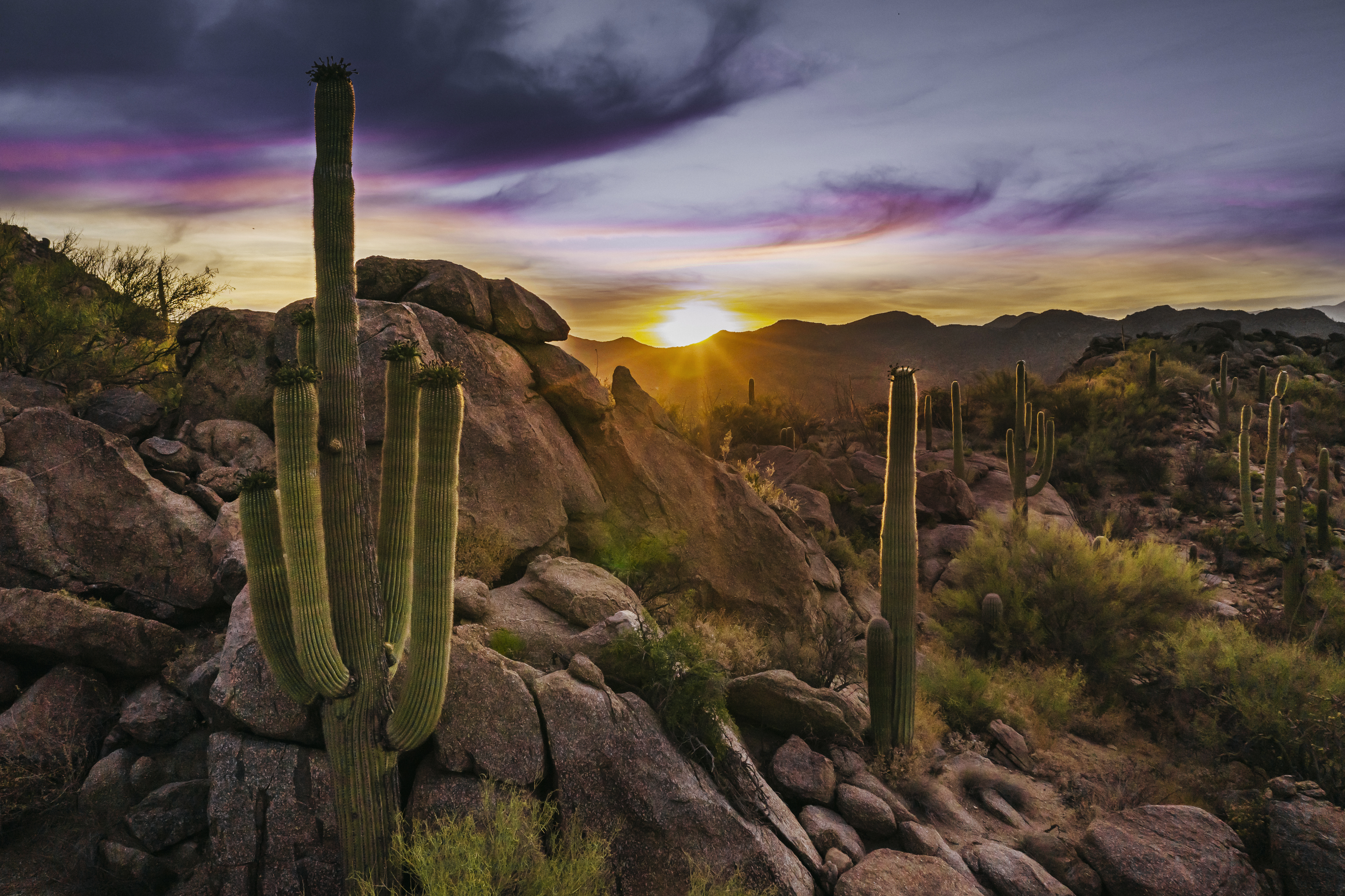 A Dove Mountain Sunrise
