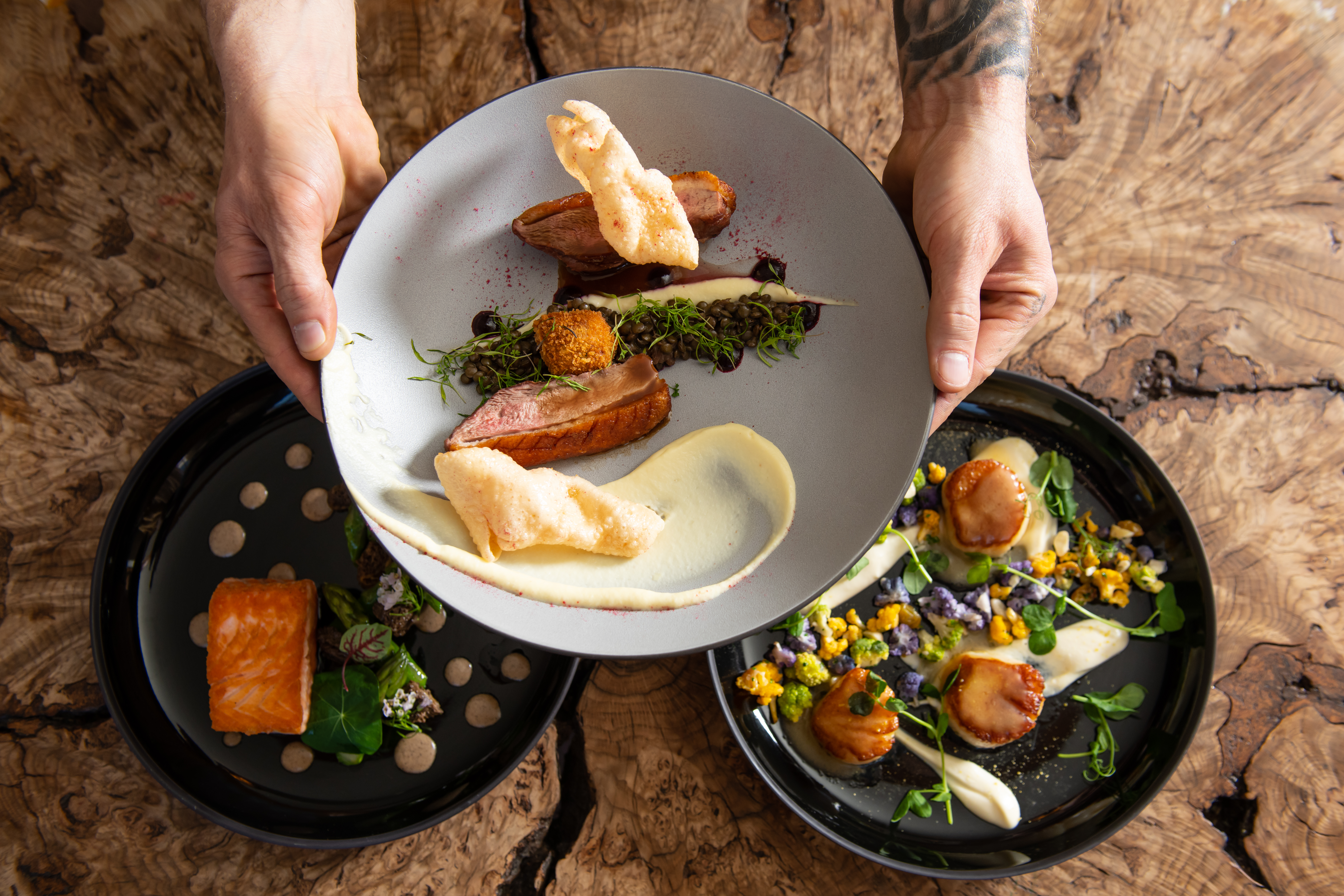 WYLD Summer Menu Dishes